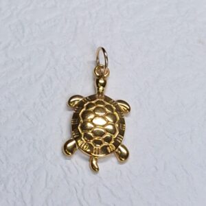 bedel – gouden schildpad (2)