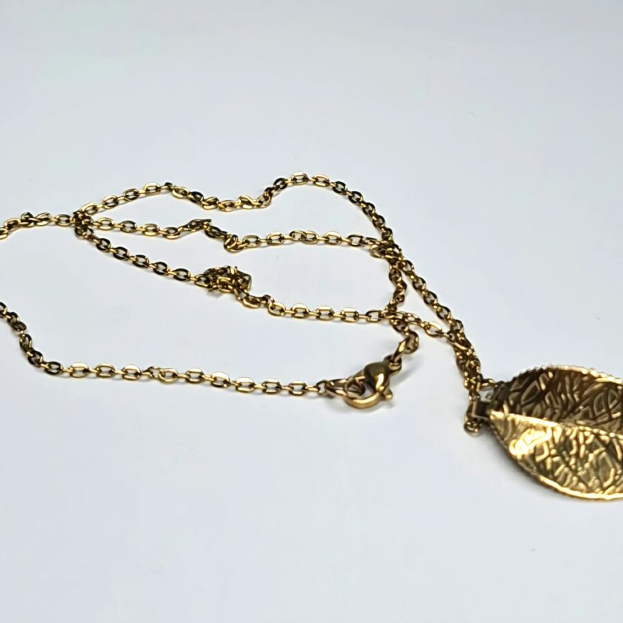 whatsapp image 2026 10 02 at 19.39.39